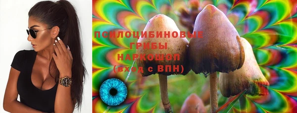 крисы Абинск