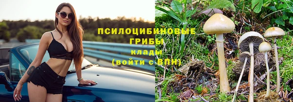 МДПВ Абдулино
