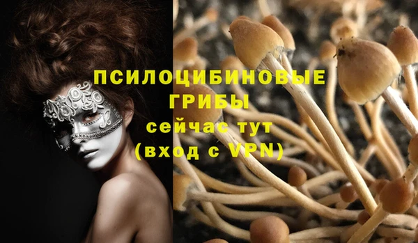 МДПВ Абдулино