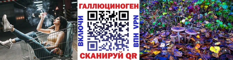 где найти   Ржев  Галлюциногенные грибы мухоморы 