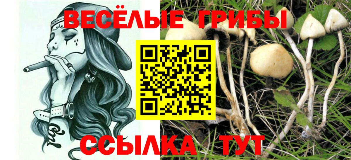Галлюциногенные грибы мухоморы  Вход с VPN  Ржев  Псилоцибиновые грибы мицелий 