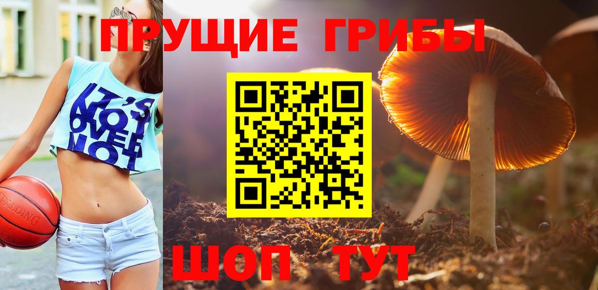 Псилоцибиновые грибы мицелий Ржев